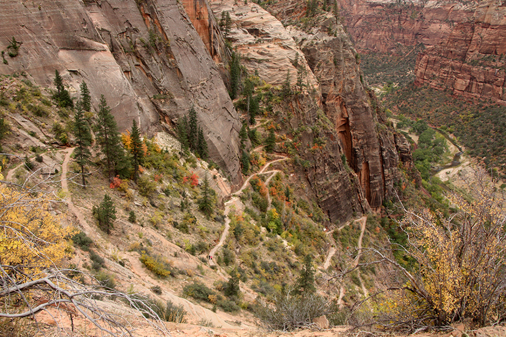 Observation Point Trail