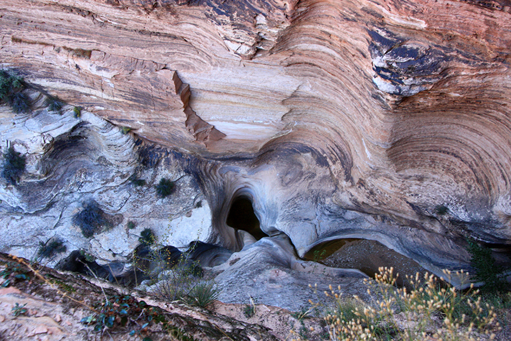 Observation Point Trail