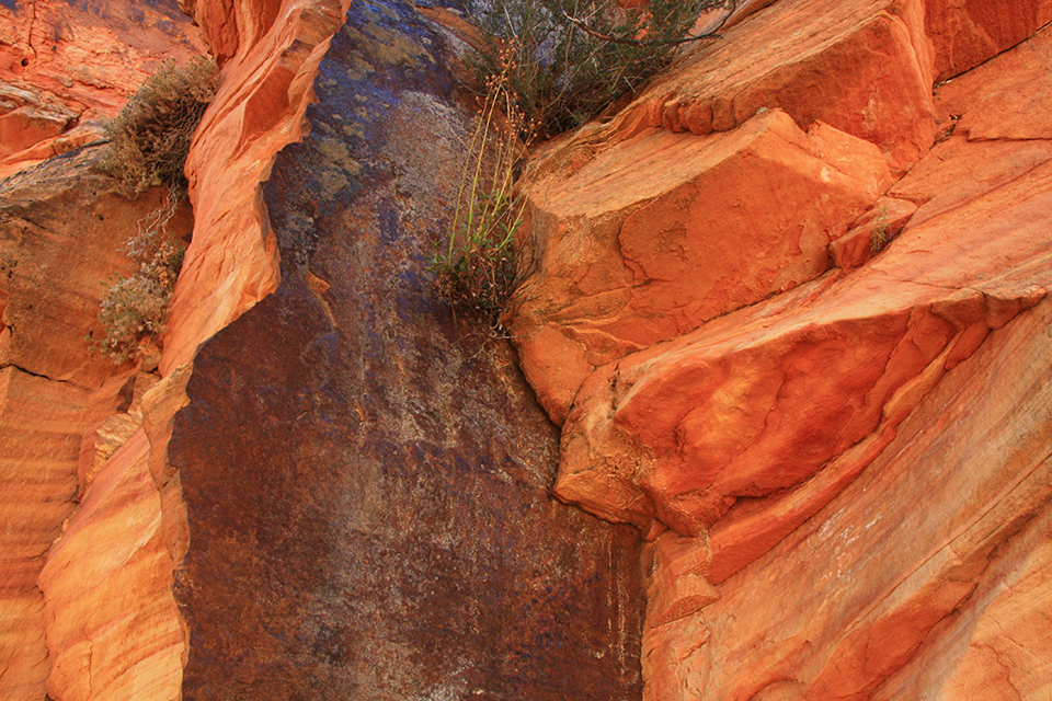 Observation Point