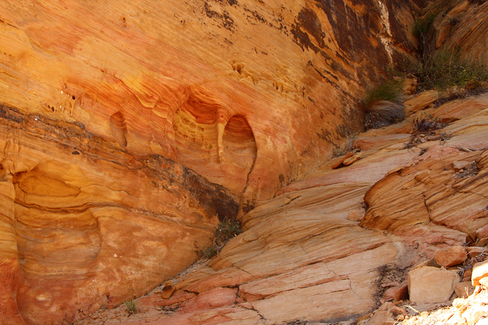 Observation Point Trail