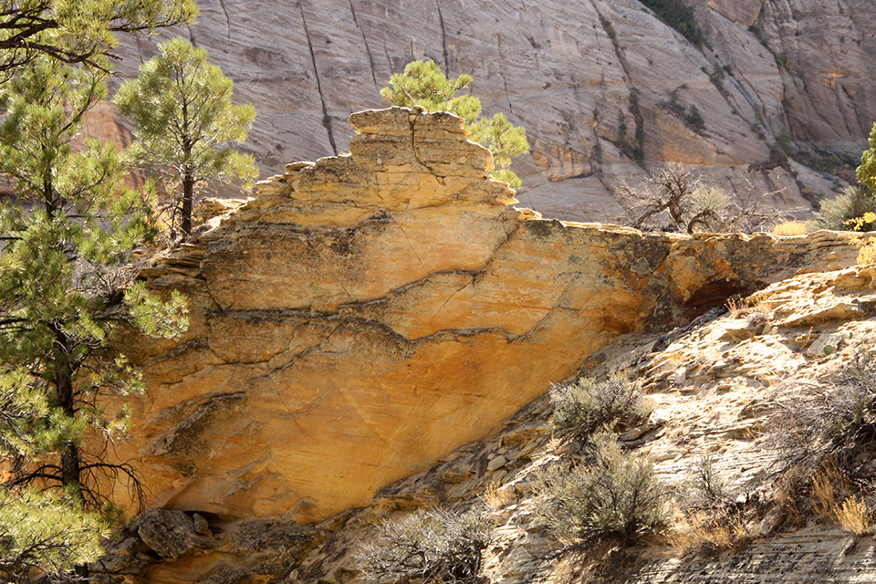 Observation Point