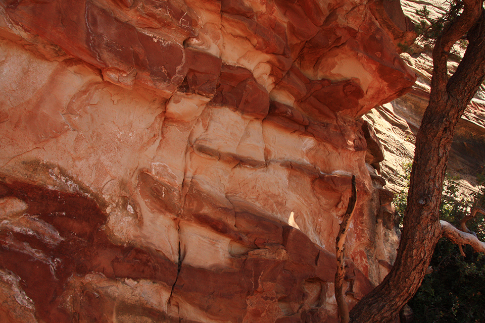 Observation Point Trail