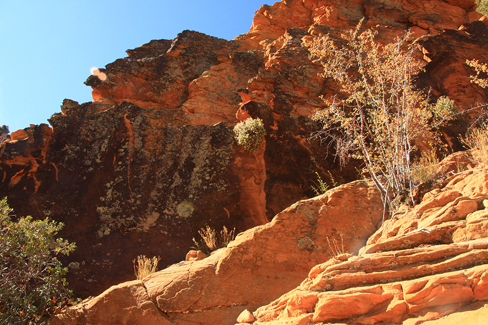 Observation Point