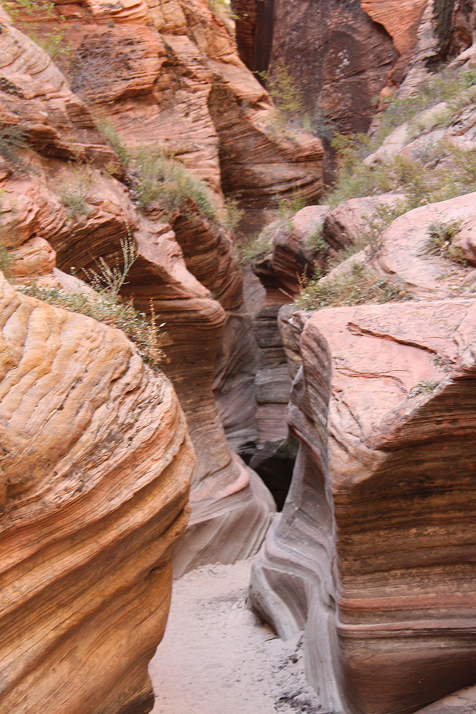 Observation Point Trail